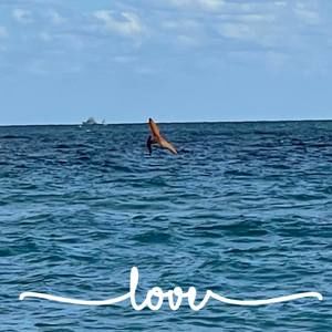 Meet your Posher, Andres